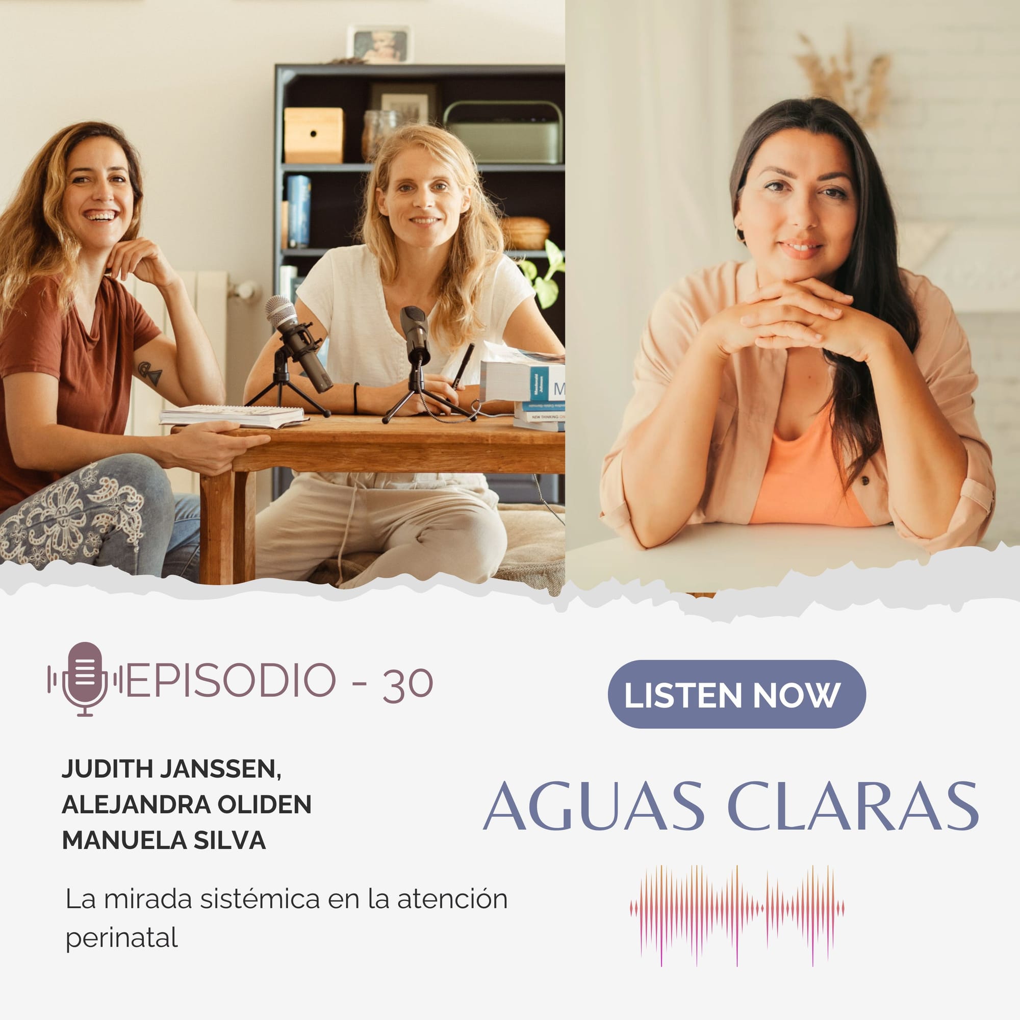 #30 - La mirada sistémica en la atención perinatal