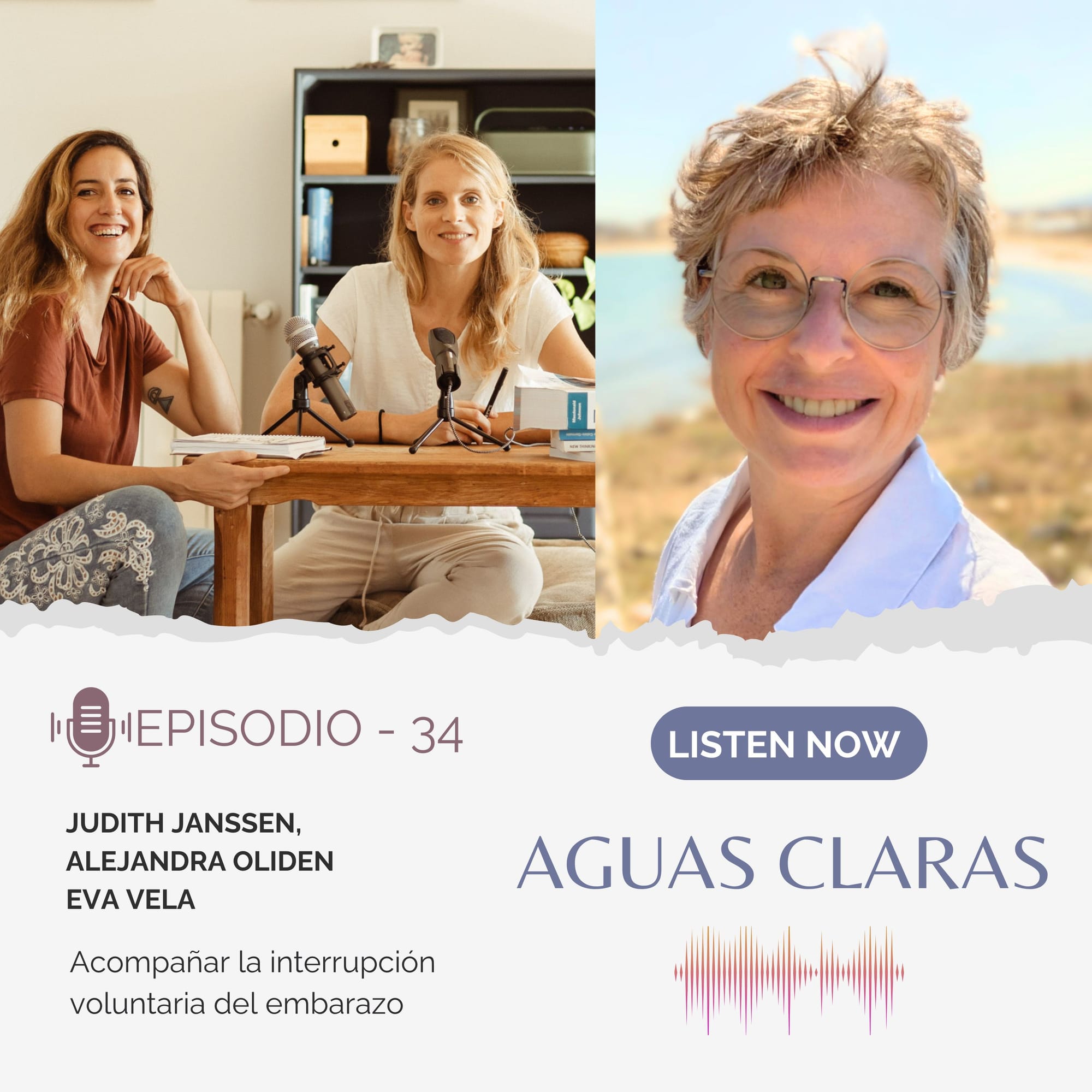 #34 - Acompañar la interrupción voluntaria del embarazo