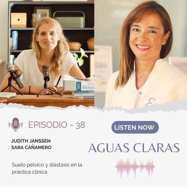 #38 - Suelo pélvico y diástasis en la práctica clínica