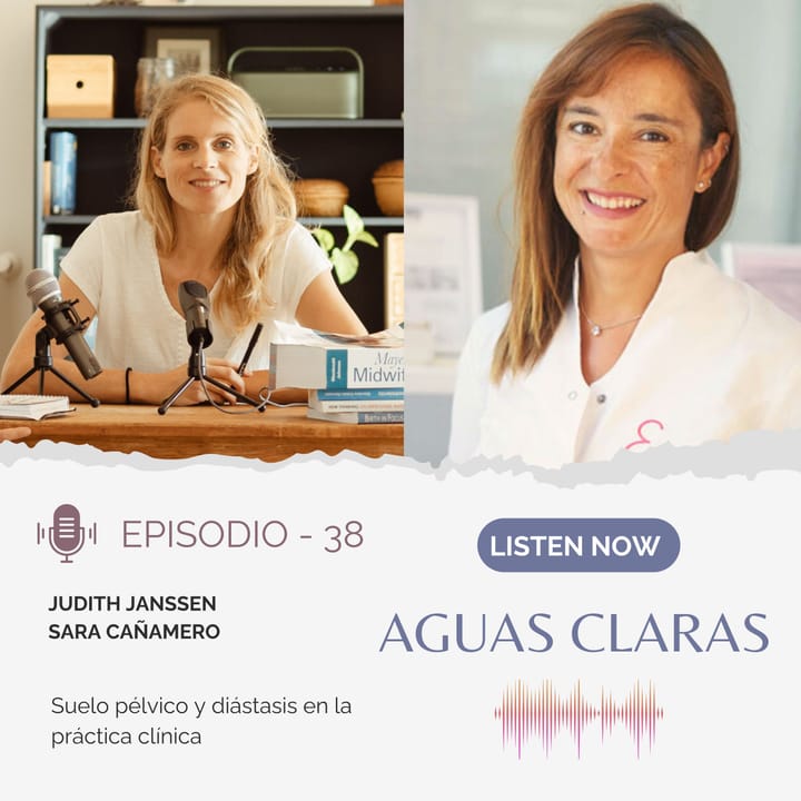#38 - Suelo pélvico y diástasis en la práctica clínica